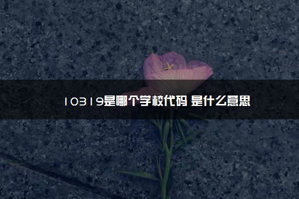 10319是哪个学校代码 是什么意思