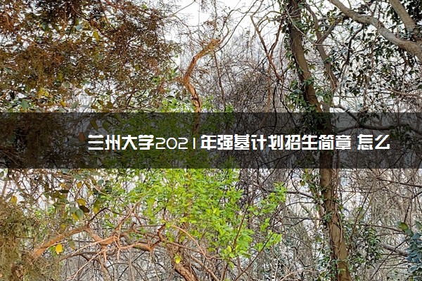 兰州大学2021年强基计划招生简章 怎么报名