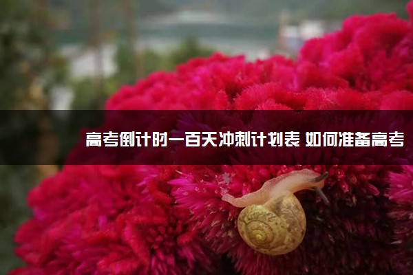 高考倒计时一百天冲刺计划表 如何准备高考