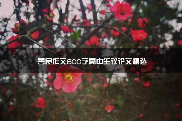 善良作文800字高中生议论文精选