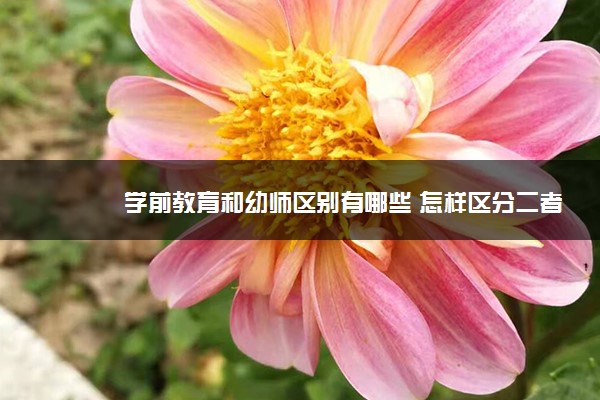 学前教育和幼师区别有哪些 怎样区分二者