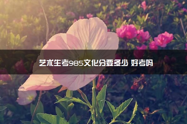 艺术生考985文化分要多少 好考吗