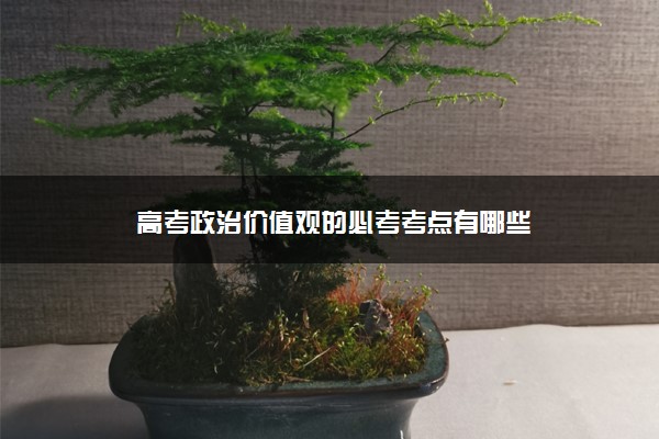 高考政治价值观的必考考点有哪些