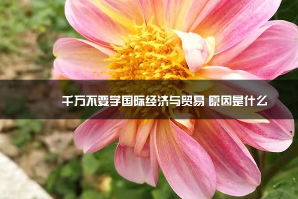 千万不要学国际经济与贸易 原因是什么