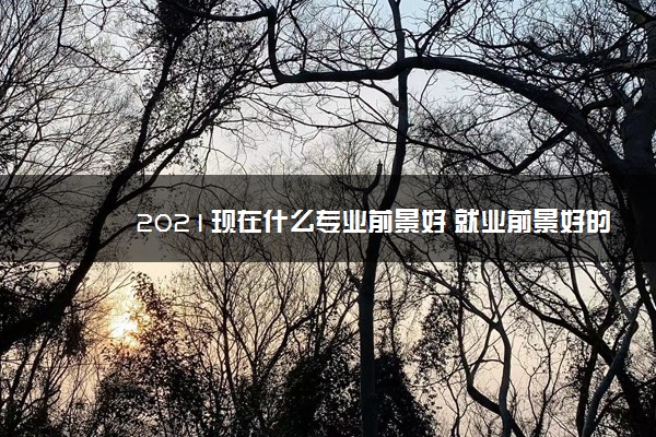 2021现在什么专业前景好 就业前景好的专业