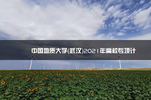 中国地质大学（武汉）2021年高校专项计划招生计划及专业