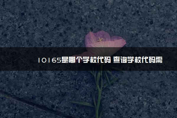 10165是哪个学校代码 查询学校代码需要注意什么