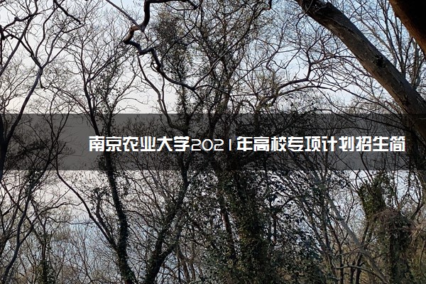 南京农业大学2021年高校专项计划招生简章 怎么报名