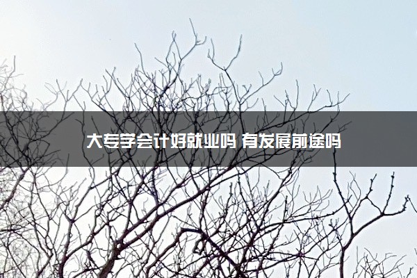 大专学会计好就业吗 有发展前途吗