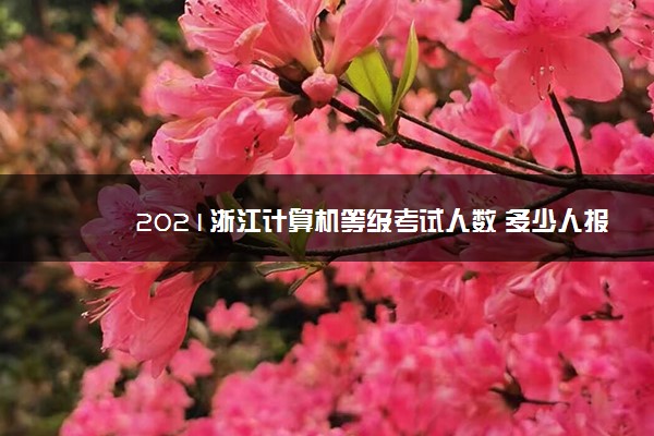 2021浙江计算机等级考试人数 多少人报名