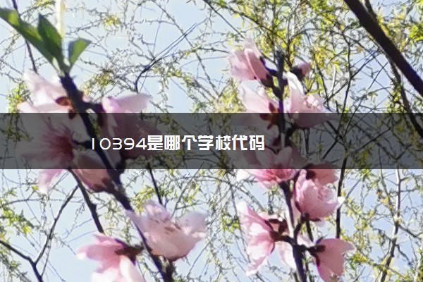 10394是哪个学校代码