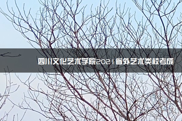 四川文化艺术学院2021省外艺术类校考成绩查询时间及入口 怎么查询