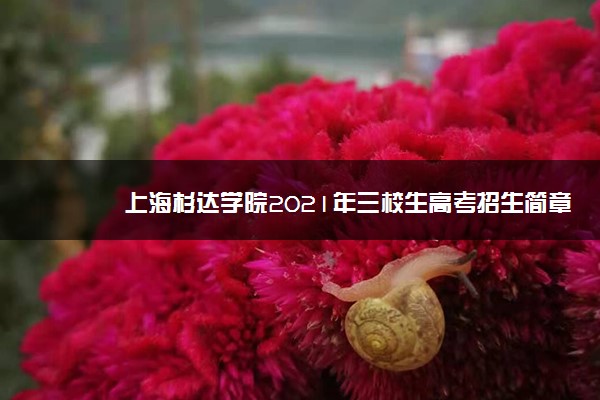 上海杉达学院2021年三校生高考招生简章 考试时间安排