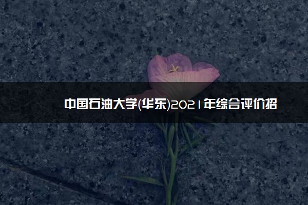 中国石油大学（华东）2021年综合评价招生专业及计划