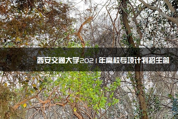 西安交通大学2021年高校专项计划招生简章