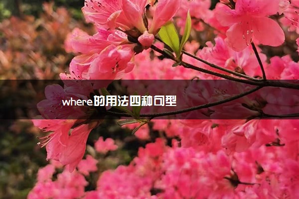 where的用法四种句型