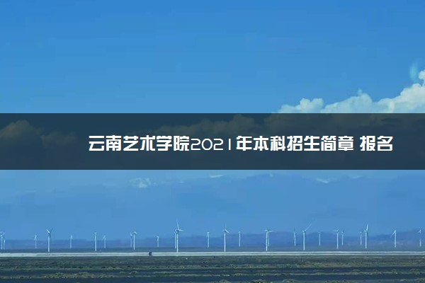 云南艺术学院2021年本科招生简章 报名条件是什么