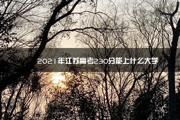 2021年江苏高考230分能上什么大学