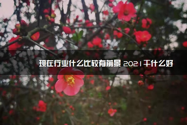 现在行业什么比较有前景 2021干什么好就业