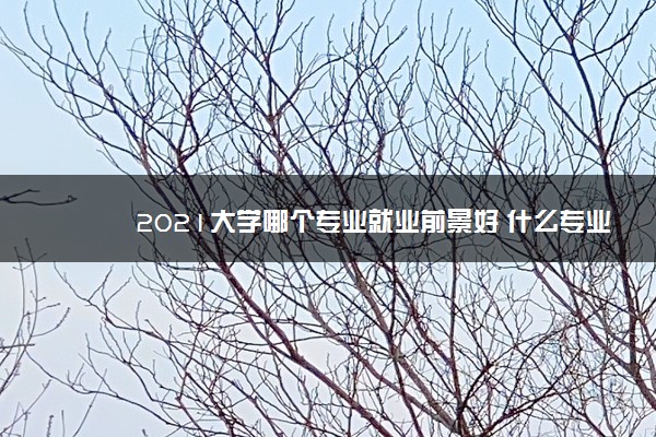 2021大学哪个专业就业前景好 什么专业好就业