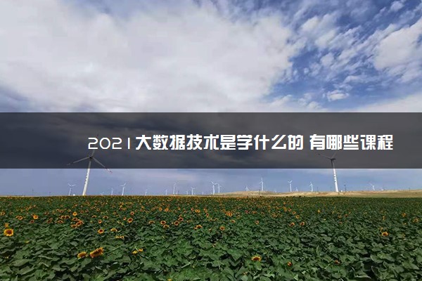 2021大数据技术是学什么的 有哪些课程