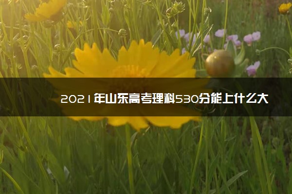 2021年山东高考理科530分能上什么大学 成绩530分能上的学校有哪些