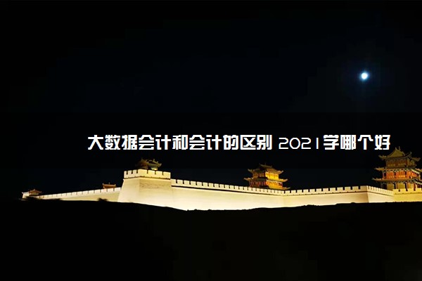 大数据会计和会计的区别 2021学哪个好