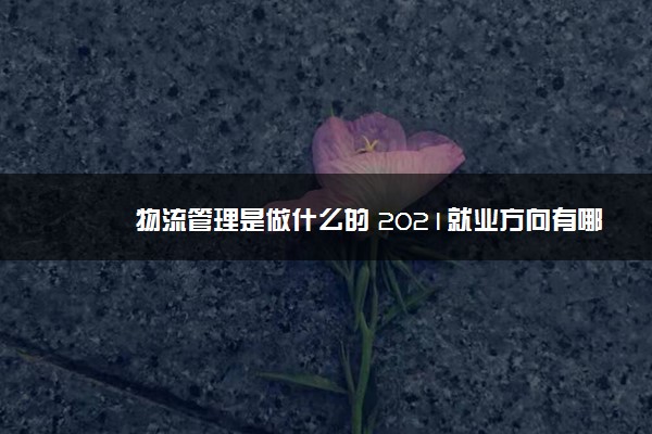 物流管理是做什么的 2021就业方向有哪些