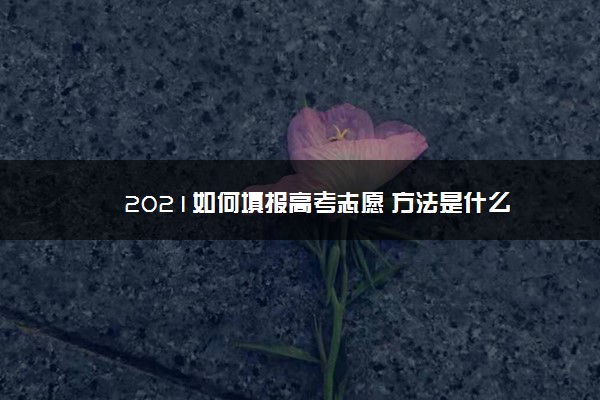 2021如何填报高考志愿 方法是什么