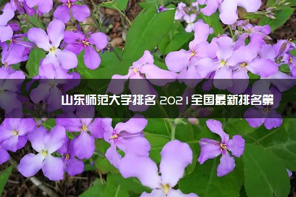 山东师范大学排名 2021全国最新排名第129名