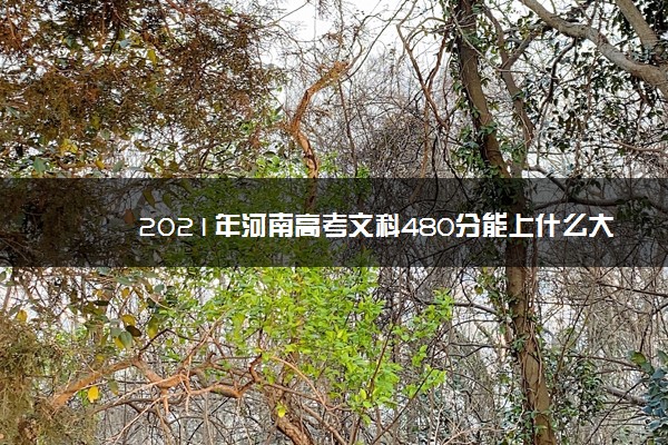 2021年河南高考文科480分能上什么大学 成绩480分能上的学校有哪些