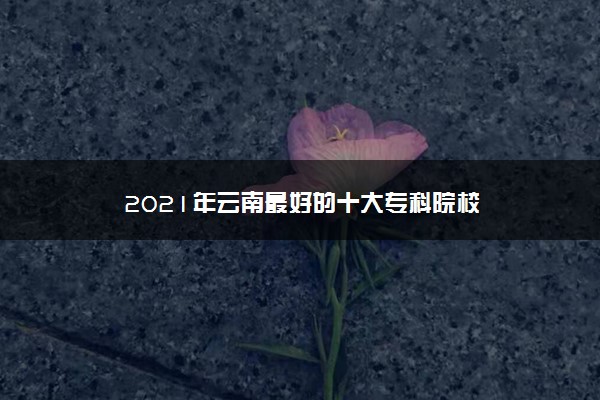 2021年云南最好的十大专科院校