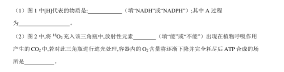 2021高考生物冲刺全真模拟卷【含答案】