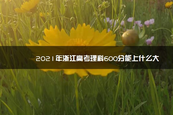 2021年浙江高考理科600分能上什么大学成绩600分能上的学校有哪些