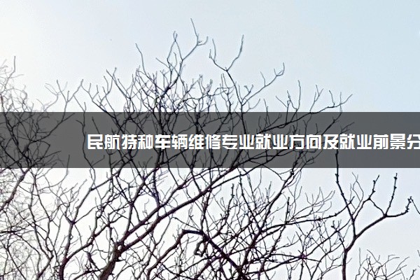 民航特种车辆维修专业就业方向及就业前景分析