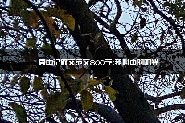 高中记叙文范文800字：我心中的阳光