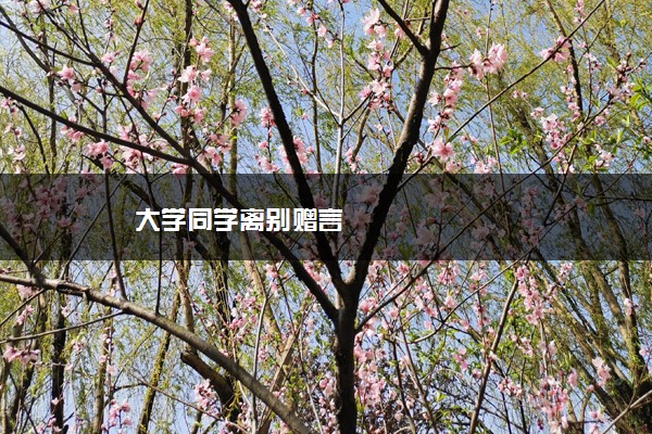 大学同学离别赠言