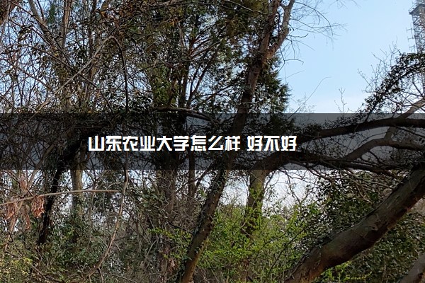 山东农业大学怎么样 好不好