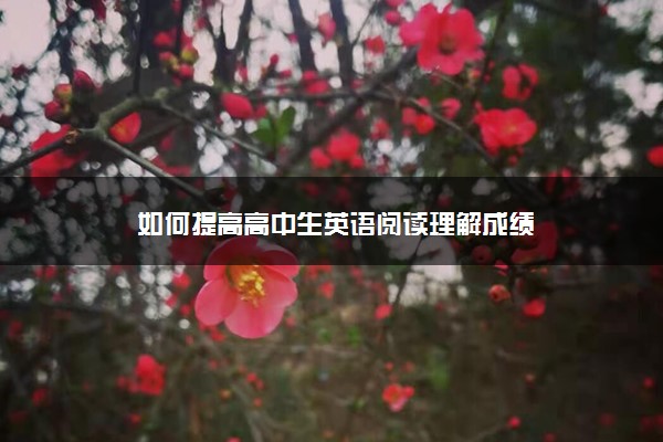 如何提高高中生英语阅读理解成绩