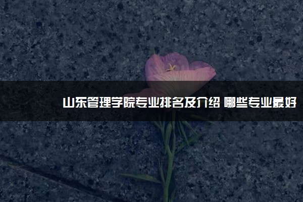 山东管理学院专业排名及介绍 哪些专业最好