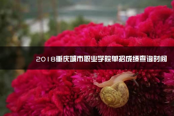 2018重庆城市职业学院单招成绩查询时间