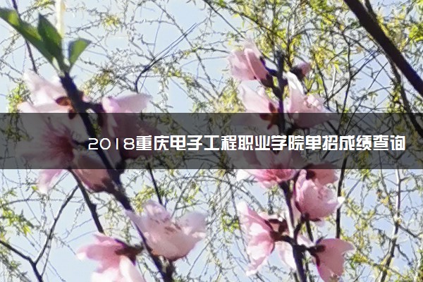 2018重庆电子工程职业学院单招成绩查询时间