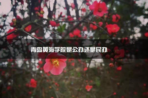 青岛黄海学院是公办还是民办