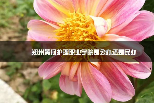 郑州黄河护理职业学院是公办还是民办