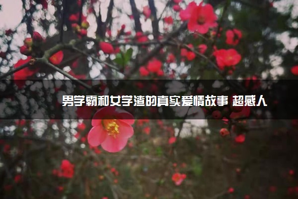 男学霸和女学渣的真实爱情故事 超感人