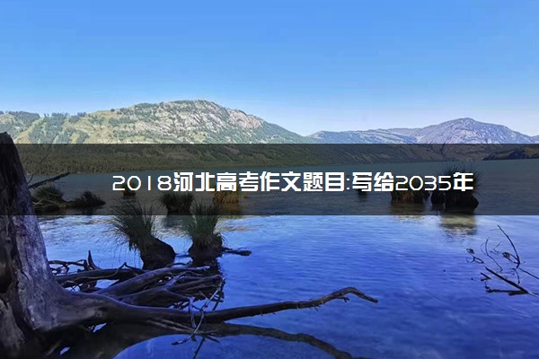 2018河北高考作文题目：写给2035年的那个他