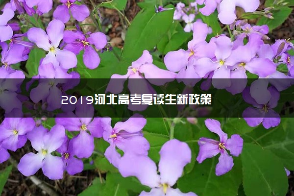 2019河北高考复读生新政策