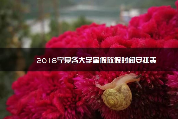 2018宁夏各大学暑假放假时间安排表