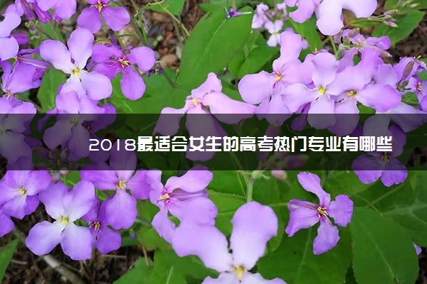 2018最适合女生的高考热门专业有哪些