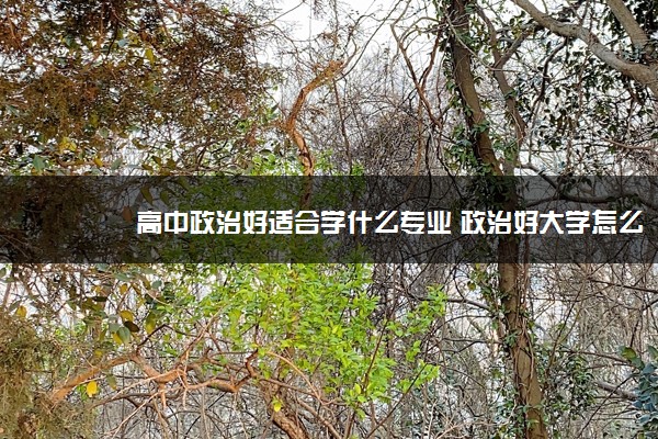 高中政治好适合学什么专业 政治好大学怎么选专业